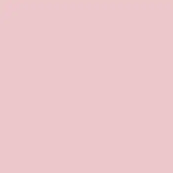 BD Seamless Pastel Pink 2.72m x 11m