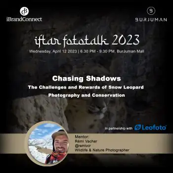 Chasing Shadows (The Challenges and Rewards of Snow Leopard  Photography and Conservation)