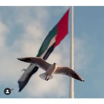 VISHNU RAMACHANDRAN - Art Work 01 