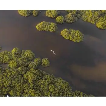 VISHNU RAMACHANDRAN - Art Work 02