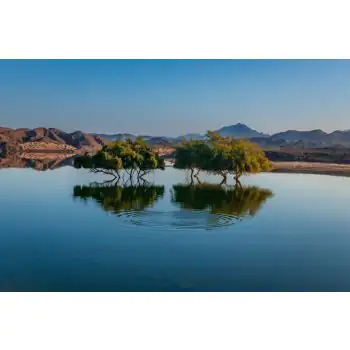 AMAR HABEEB - Tranquillity