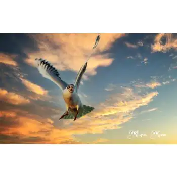 KHAYAS KASIM - Art Work 01