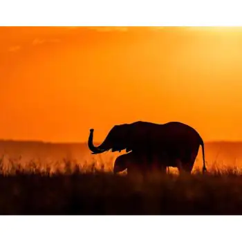  VENKI RAMASUBHRAMONI - Art Work 01