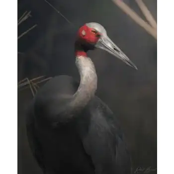 RAHUL BANSAL - Art Work 01