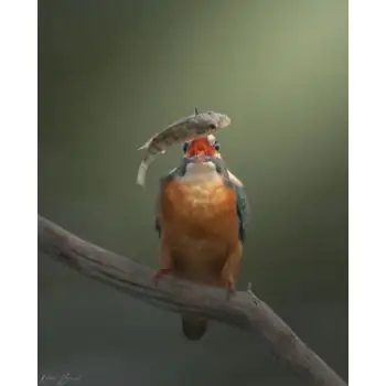 RAHUL BANSAL - Art Work 02