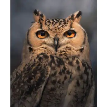 RAHUL BANSAL - Art Work 03