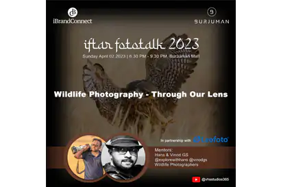 Wildlife Photography - Through Our Lens